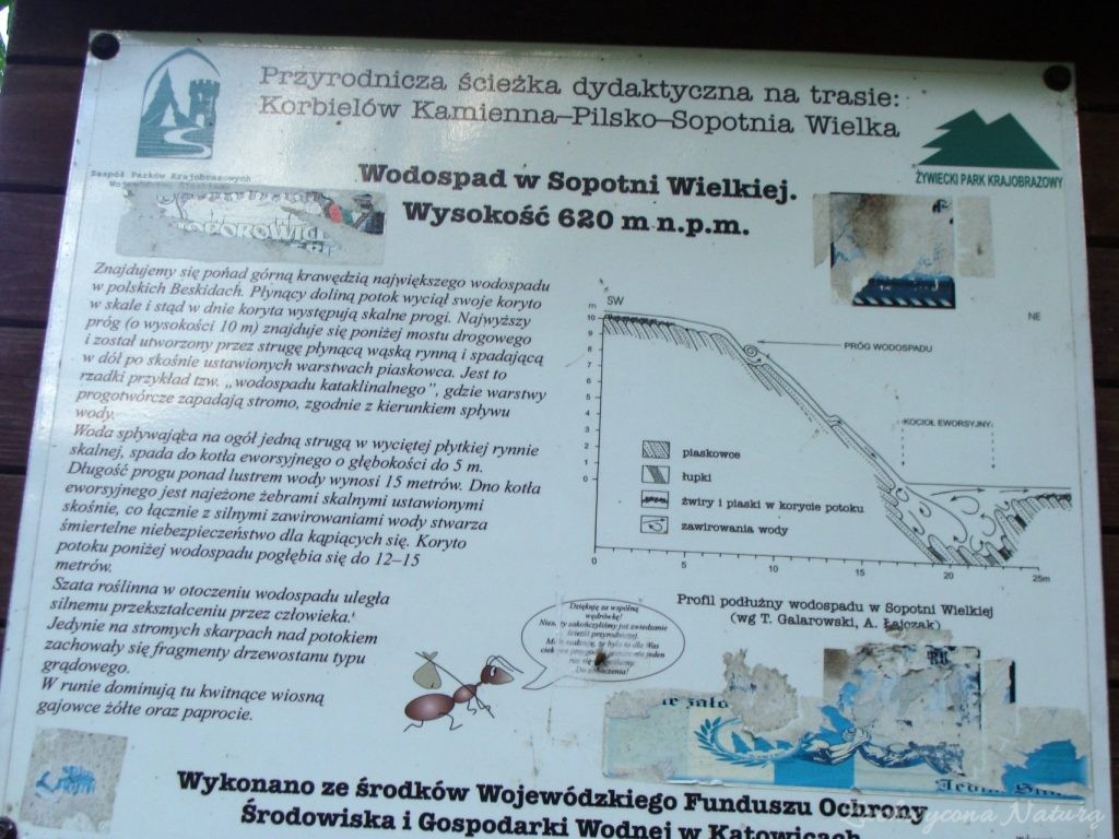 Wodospad w Sopotni Wielkiej w Beskidzie Żywieckim (2) (Custom)